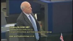 Godfrey-Bloom-ef8ba0be256395a180e8b928e6b65ffd