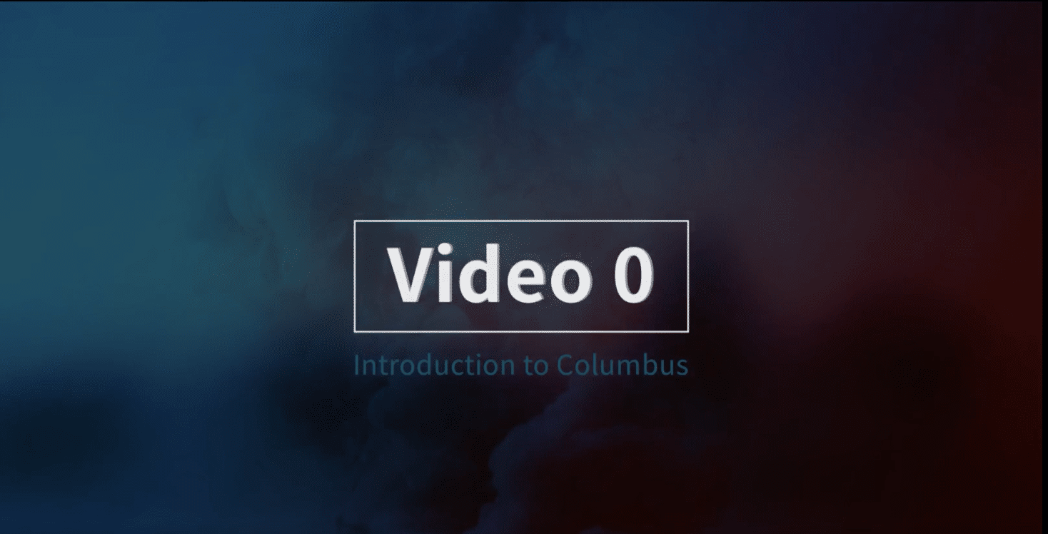 Video Image