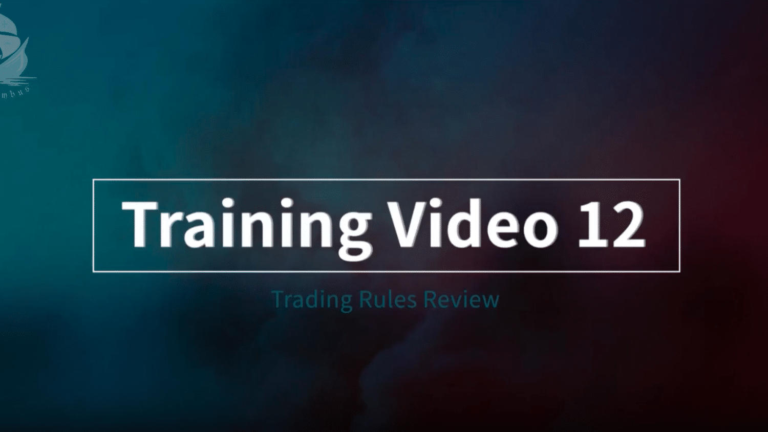 Video Image