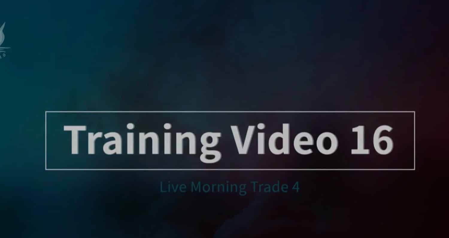 Video Image