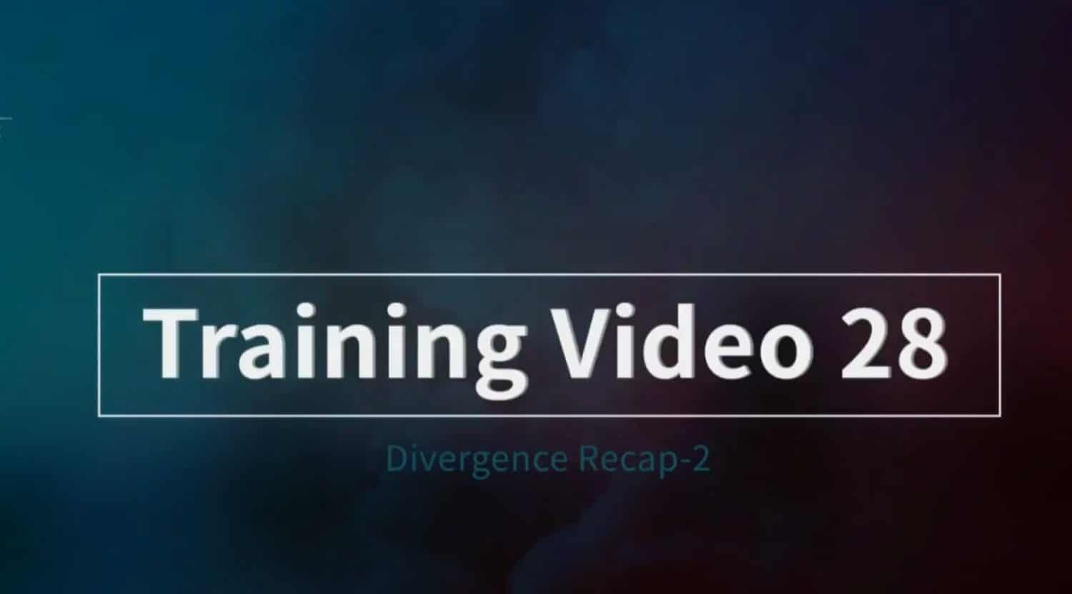 Video Image