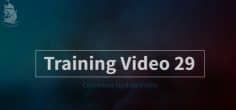 Training Video 29