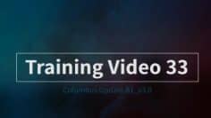 Training Video 33