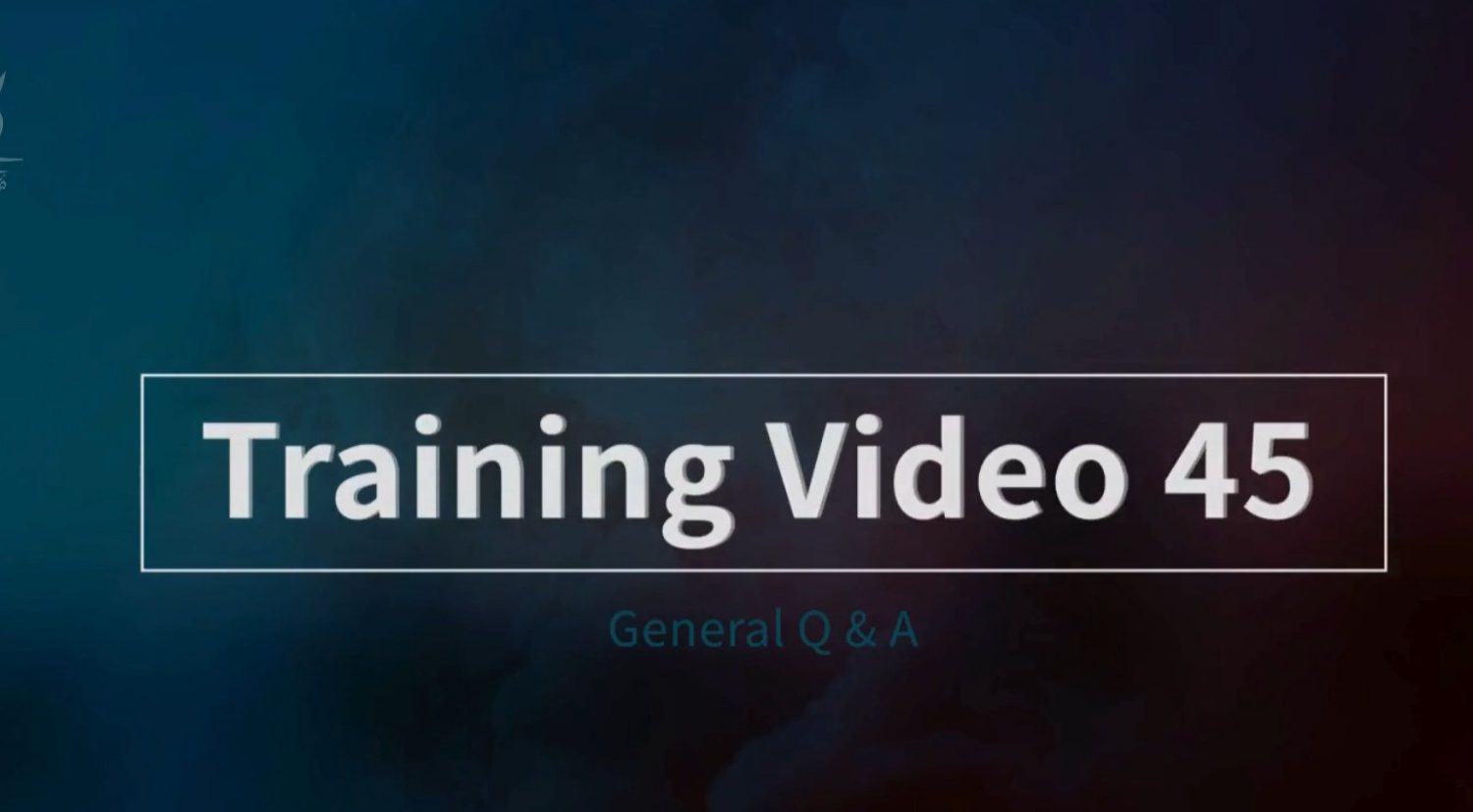 Video Image