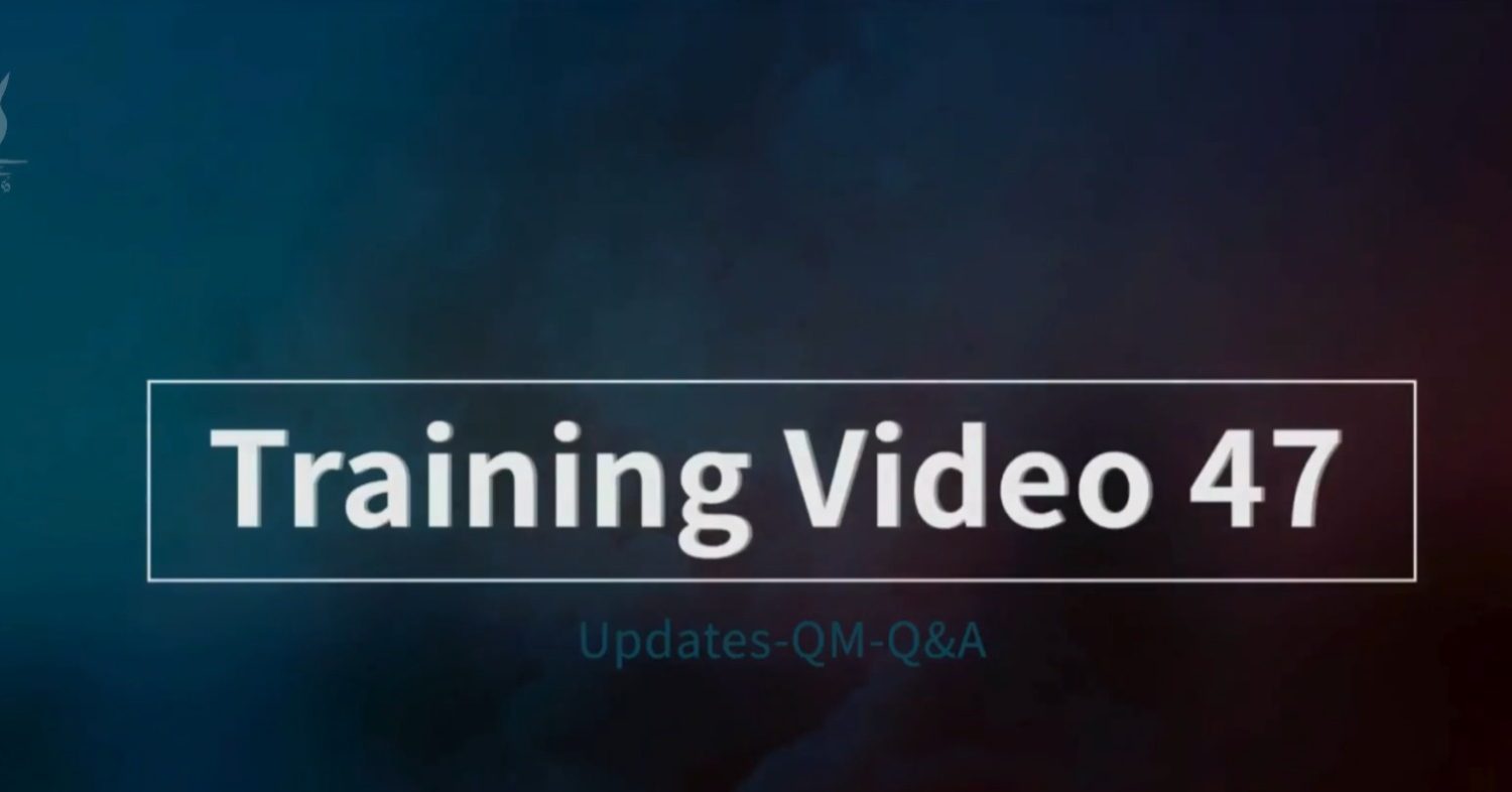 Video Image