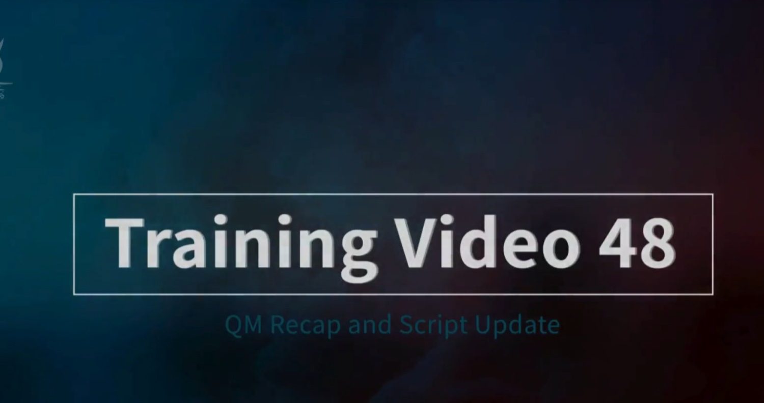 Video Image