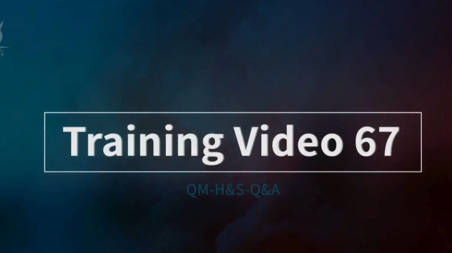 Video Image