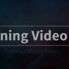 Video 86