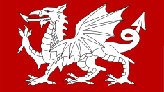 White_Dragon_Flag_of_England-small.png