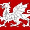 White_Dragon_Flag_of_England-small-edcb830cce93eb6dda6e4a21796db39b-600×360