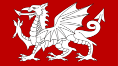 White_Dragon_Flag_of_England-small-edcb830cce93eb6dda6e4a21796db39b-600×360