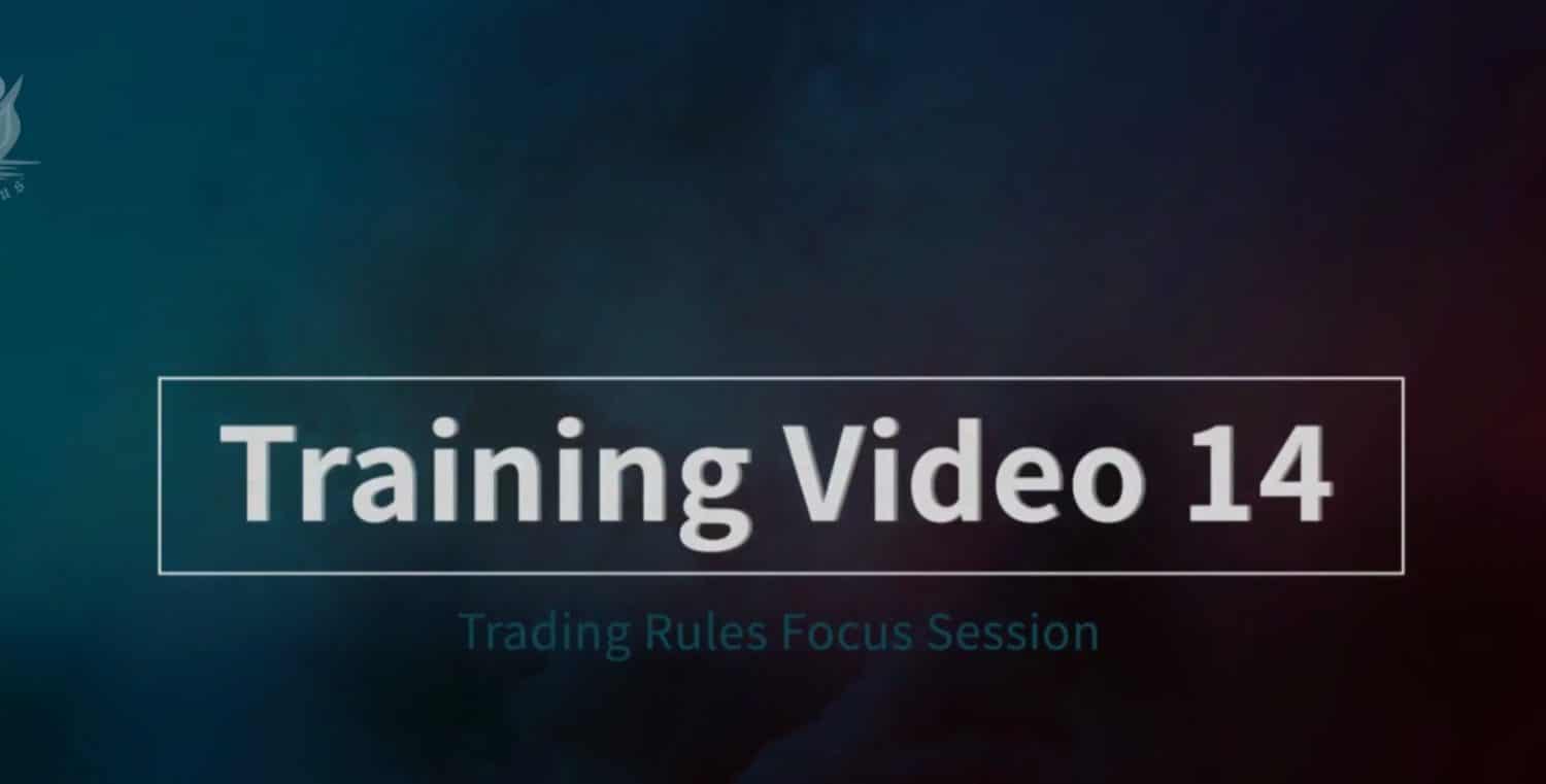 Video Image